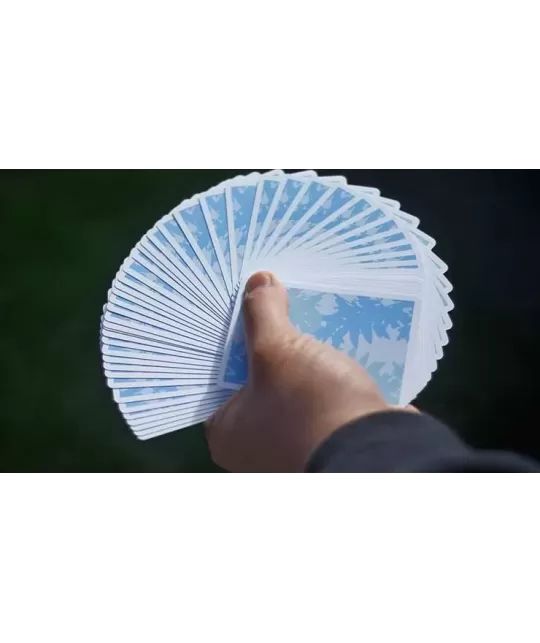 Sakura V3 – Cărți de joc premium | Emagie.ro