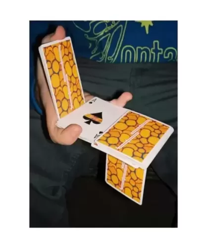 Fontaine CELL – Cărți de joc premium | Emagie.ro