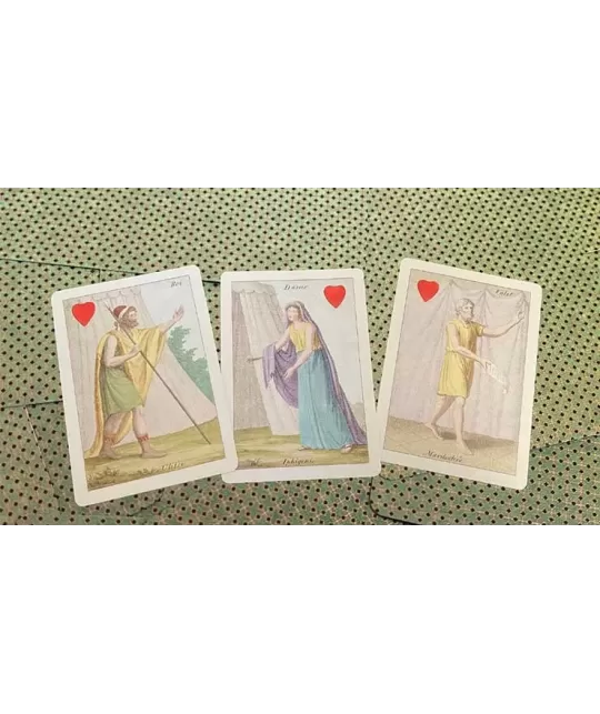 Cotta Almanac 2 Transformation – Cărți de joc premium | Emagie.ro