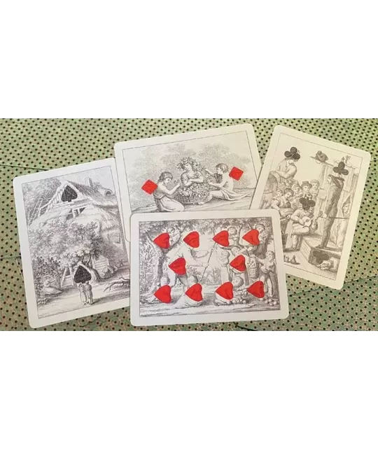 Cotta Almanac 2 Transformation – Cărți de joc premium | Emagie.ro