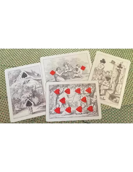 Cotta Almanac 2 Transformation – Cărți de joc premium | Emagie.ro