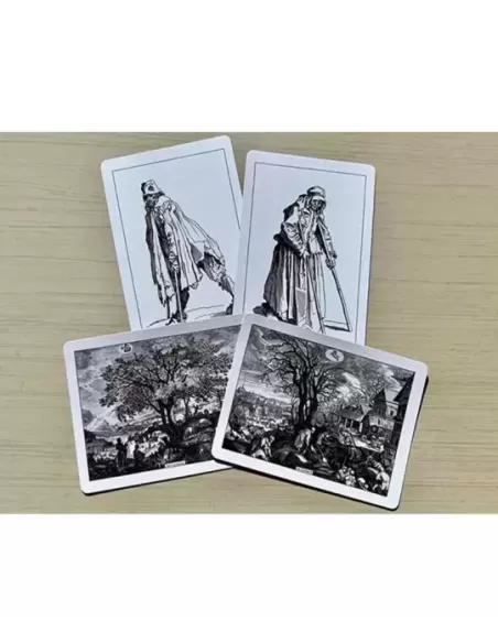 Cotta Almanac 6 Transformation – Cărți de joc premium | Emagie.ro