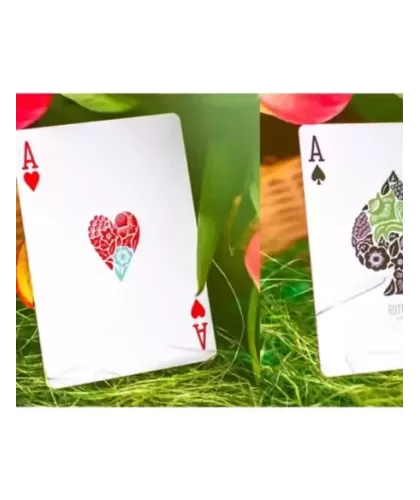 Butterfly Seasons Marked Spring – Cărți de joc premium | Emagie.ro 2