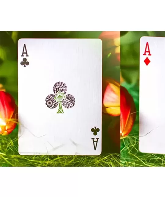 Butterfly Seasons Marked Spring – Cărți de joc premium | Emagie.ro