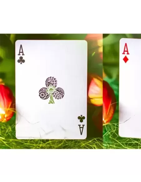 Butterfly Seasons Marked Spring – Cărți de joc premium | Emagie.ro