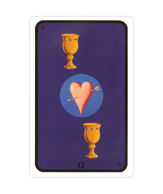 Tarot Of The Witches Deck – Set tarot autentic | Emagie.ro