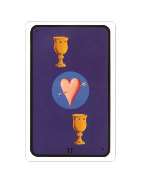 Tarot Of The Witches Deck – Set tarot autentic | Emagie.ro