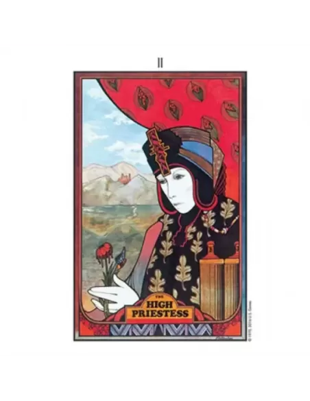 Aquarian Tarot Deck – Set tarot emblematic | Emagie.ro