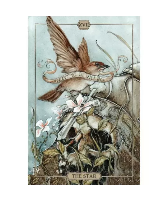 HUSH – Tarot Deck set profund | Emagie.ro