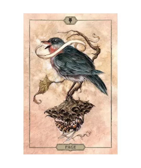 HUSH – Tarot Deck set profund | Emagie.ro