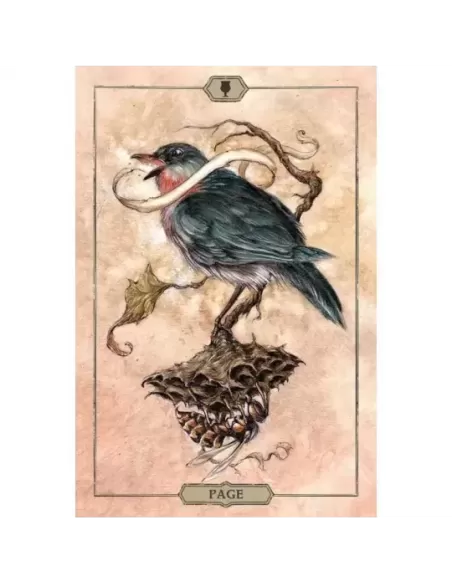HUSH – Tarot Deck set profund | Emagie.ro