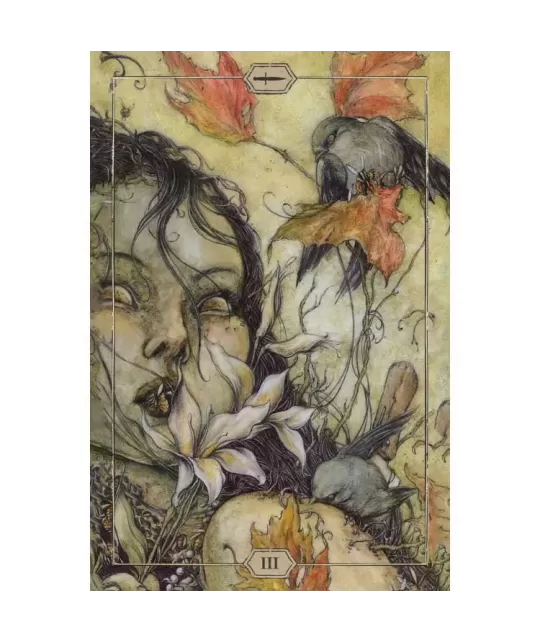 HUSH – Tarot Deck set profund | Emagie.ro