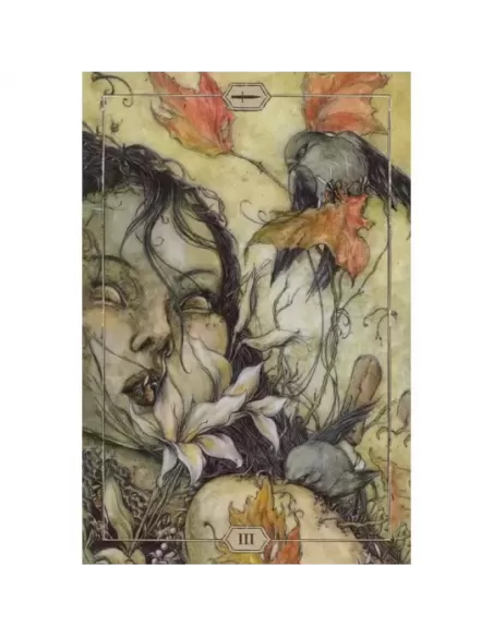 HUSH – Tarot Deck set profund | Emagie.ro