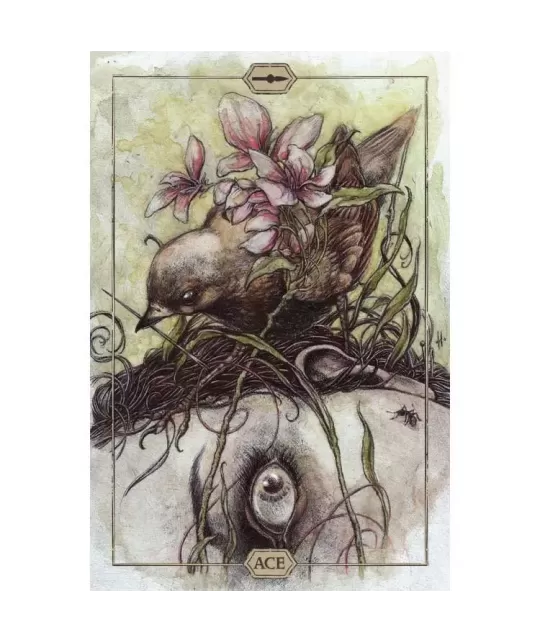 HUSH – Tarot Deck set profund | Emagie.ro