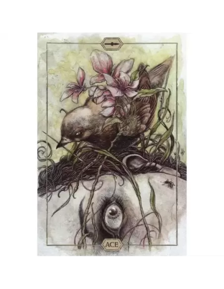HUSH – Tarot Deck set profund | Emagie.ro