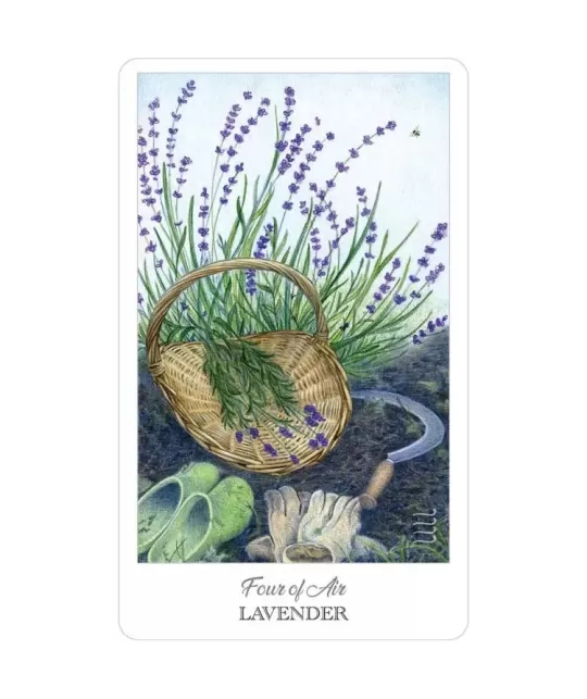 The Herbcrafters Tarot – Set tarot profund | Emagie.ro