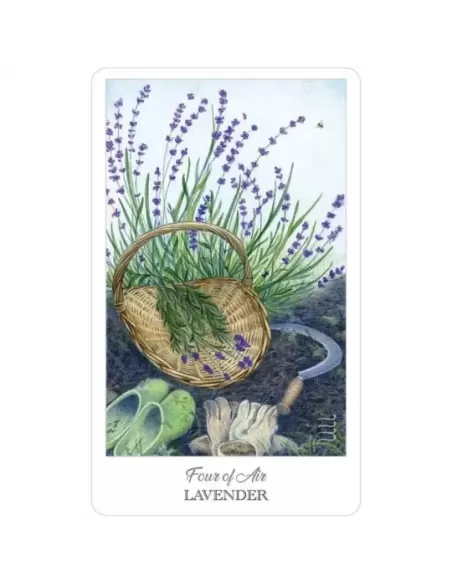 The Herbcrafters Tarot – Set tarot profund | Emagie.ro