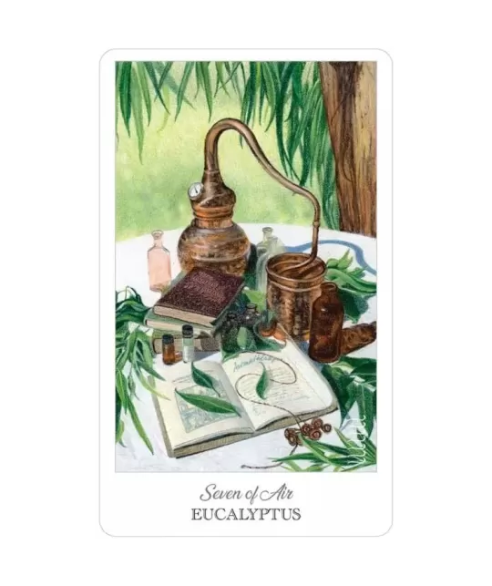 The Herbcrafters Tarot – Set tarot profund | Emagie.ro