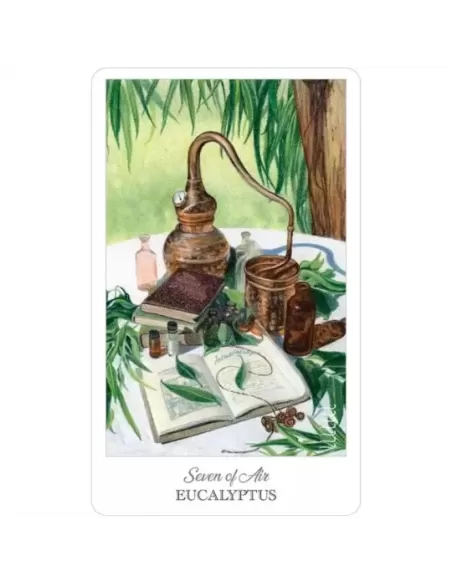 The Herbcrafters Tarot – Set tarot profund | Emagie.ro