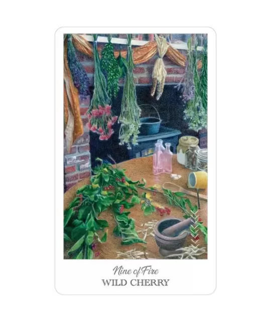 The Herbcrafters Tarot – Set tarot profund | Emagie.ro