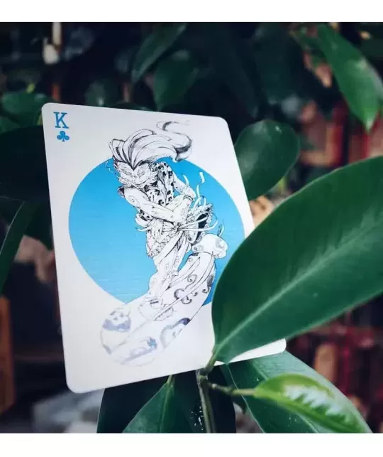 Fujin BOMBMAGIC – Cărți de joc premium | Emagie.ro