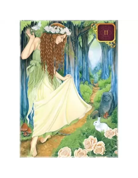 Pocket Dreams Of Gaia Tarot – Set tarot introspectiv | Emagie.ro