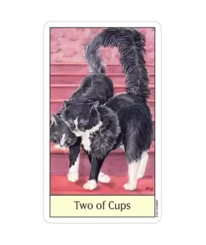 Cats Eye Tarot – Set tarot elegant | Emagie.ro