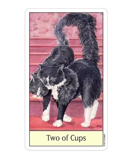 Cats Eye Tarot – Set tarot elegant | Emagie.ro