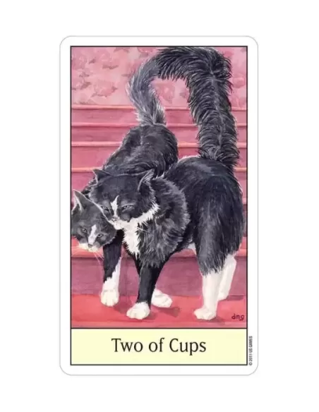 Cats Eye Tarot – Set tarot elegant | Emagie.ro