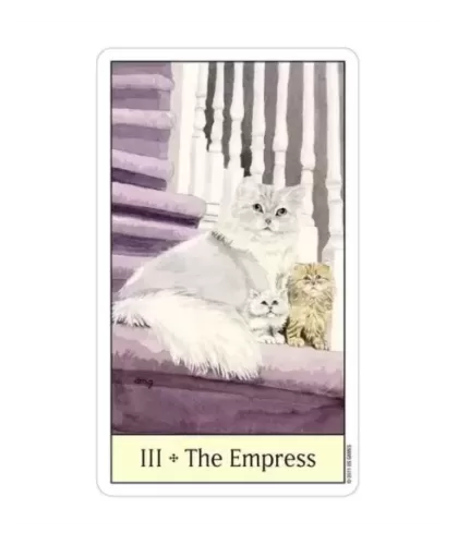 Cats Eye Tarot – Set tarot elegant | Emagie.ro 2