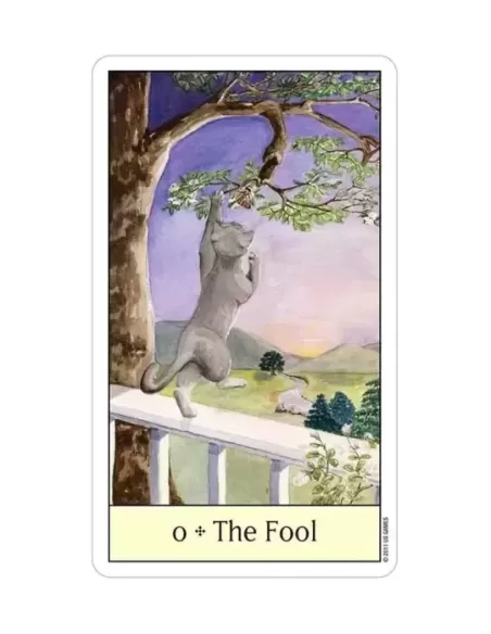 Cats Eye Tarot – Set tarot elegant | Emagie.ro