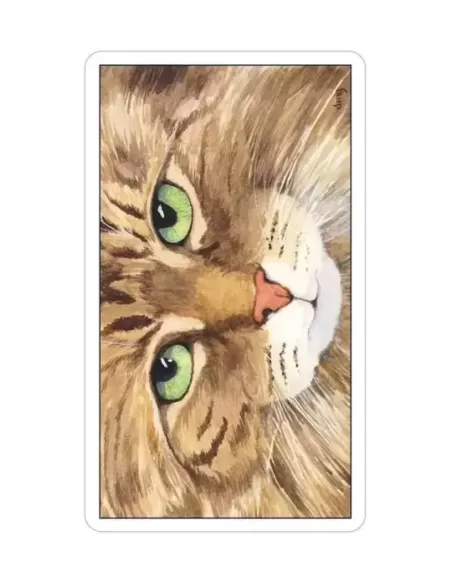 Cats Eye Tarot – Set tarot elegant | Emagie.ro