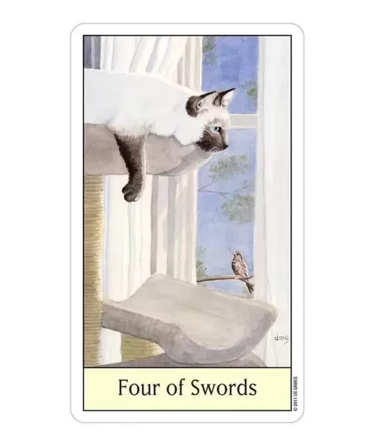 Cats Eye Tarot – Set tarot elegant | Emagie.ro