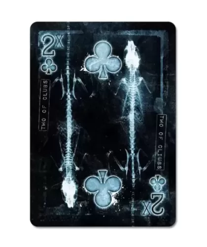 Bicycle Karnival Xtreme – Premium playing cards | Emagie.ro 2