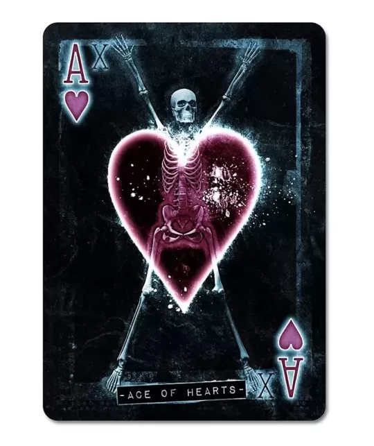 Bicycle Karnival Xtreme – Premium playing cards | Emagie.ro