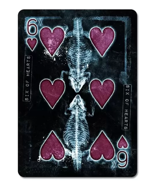 Bicycle Karnival Xtreme – Premium playing cards | Emagie.ro