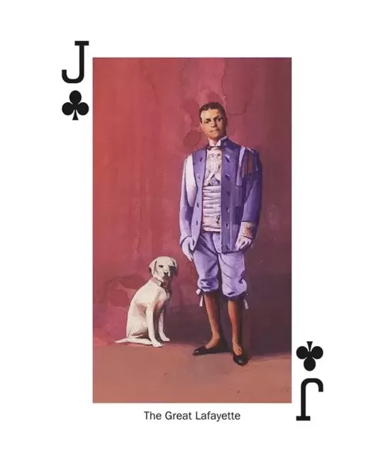 Stars Of Magic Black Edition – Cărți de joc premium | Emagie.ro