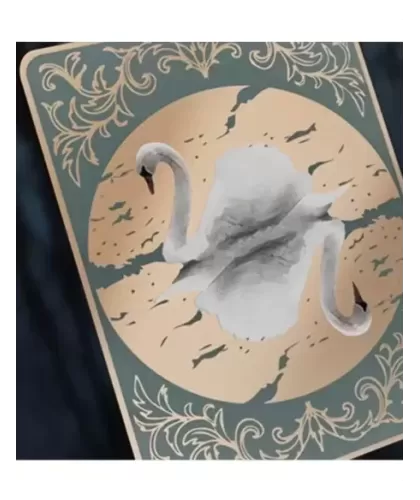 Entwined Vol.1 Rose Summer – Cărți de joc premium | Emagie.ro 2