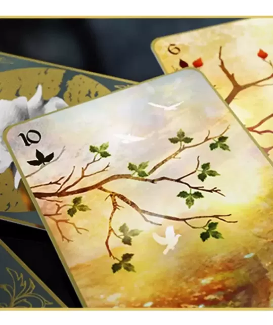 Entwined Vol.1 Rose Summer – Cărți de joc premium | Emagie.ro