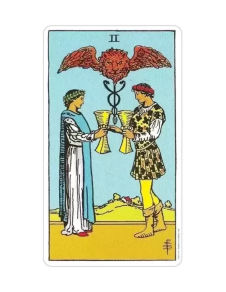 Universal Waite Tarot Book Set – Set tarot elegant | Emagie.ro