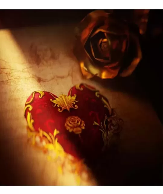 Ad Fontes Renaissance Regal Edition – Premium Playing Cards | Emagie.ro