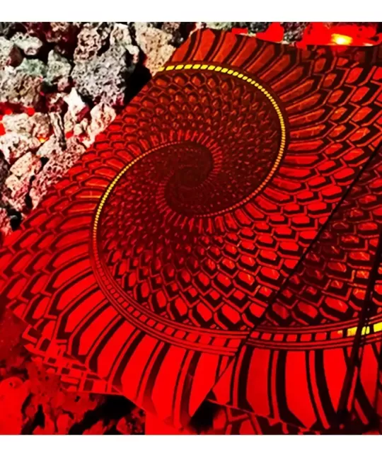 Draconian Crimson Playing Cards – Cărți de joc premium | Emagie.ro