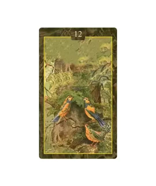 Giordano Berti Lenormand Oracle Cards – Set oracol elegant | Emagie.ro