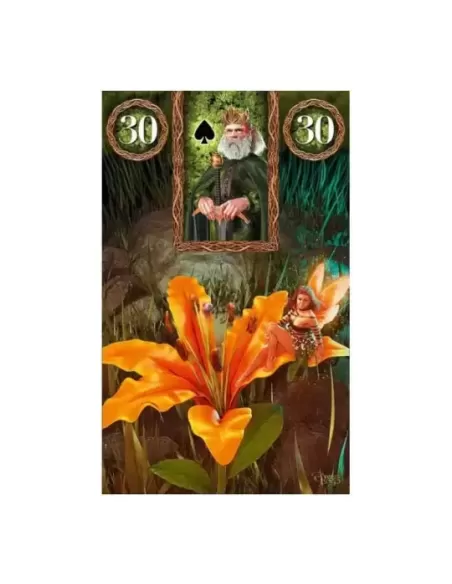 Fairy Lenormand Oracle – Set oracol inspirat | Emagie.ro