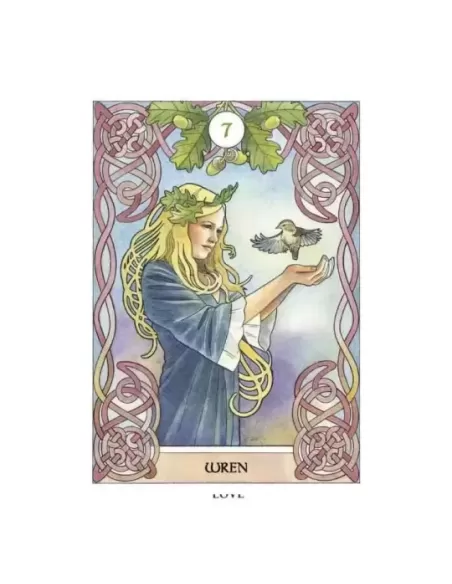 Celtic Astrology Oracle – Set oracol elegant | Emagie.ro