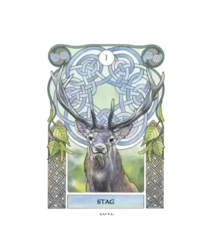 Celtic Astrology Oracle – Set oracol elegant | Emagie.ro 2