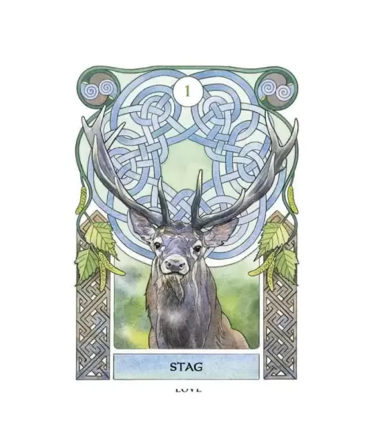 Celtic Astrology Oracle – Set oracol elegant | Emagie.ro