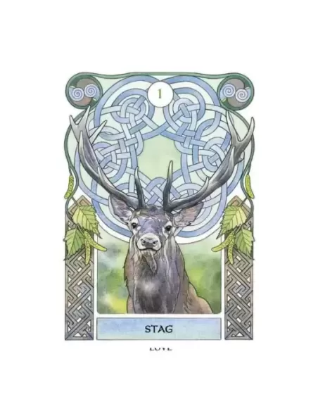 Celtic Astrology Oracle – Set oracol elegant | Emagie.ro