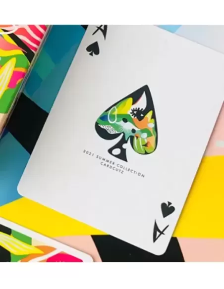 Mountain Playing Cards by CardCutz – Cărți de joc premium | Emagie.ro