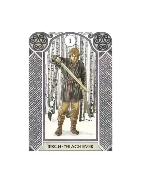 Celtic Astrology Oracle – Set oracol elegant | Emagie.ro